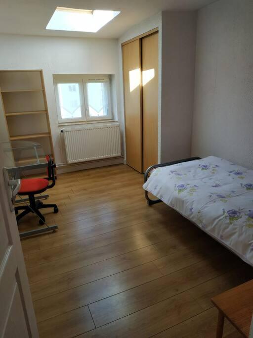 Superbe Appartement Avec Parking Gratuit Sur Place Nancy Buitenkant foto